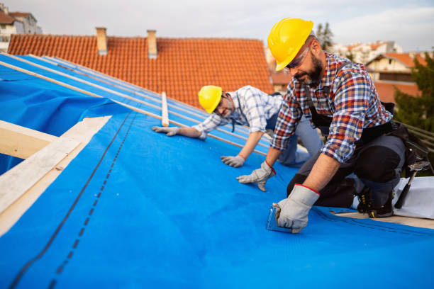 Professional Roofing Contractor in Miami Shores, FL